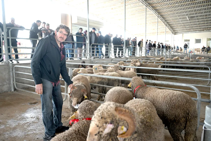 Edirne’de 2. Koç ve Teke Mezatı düzenlendi