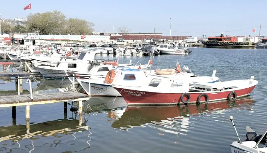 Tekirdağ’da küçük tekneli balıkçılar istavrit ve sardalya için ağ atıyor
