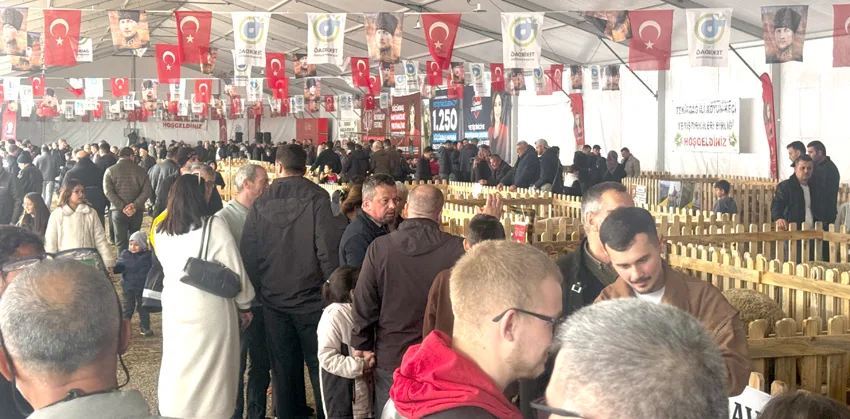 “Küçükbaş hayvanlarda stres verimi düşürüyor”