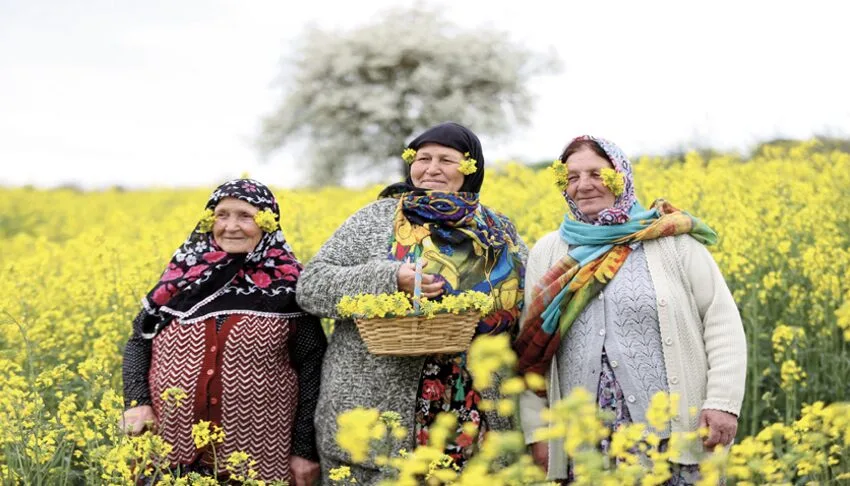 Trakya’da kanola ve buğday tarlaları agro turizmi canlandırıyor