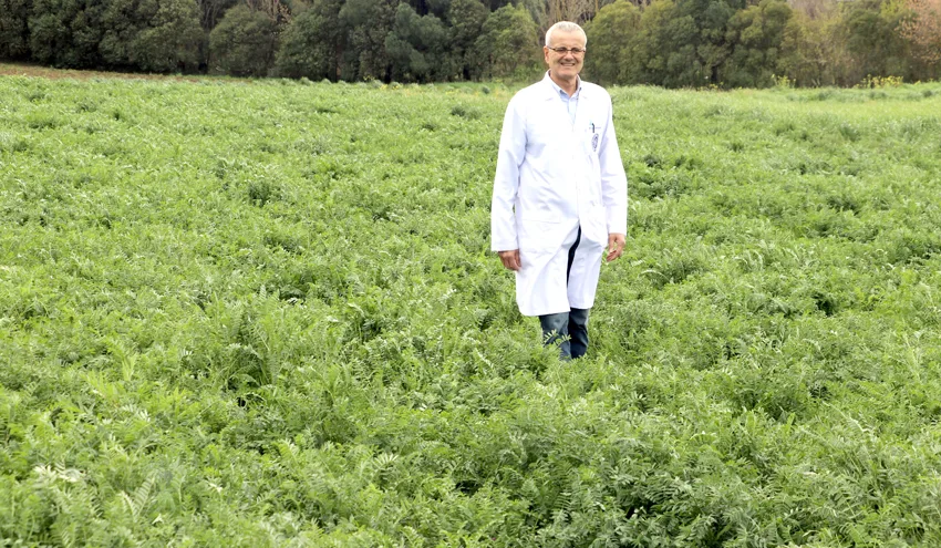 Tekirdağ’da geliştirilen yerli korunga “NKÜ Efsane” adıyla tescillendi