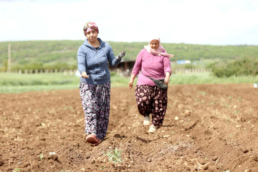 AA 20260514 41377226 41377217 KIRKLARELINDE CIFTCI KADINLAR URETIMIN YUKUNU OMUZLUYOR - Kırklareli’nde çiftçi kadınlar üretimin yükünü omuzluyor