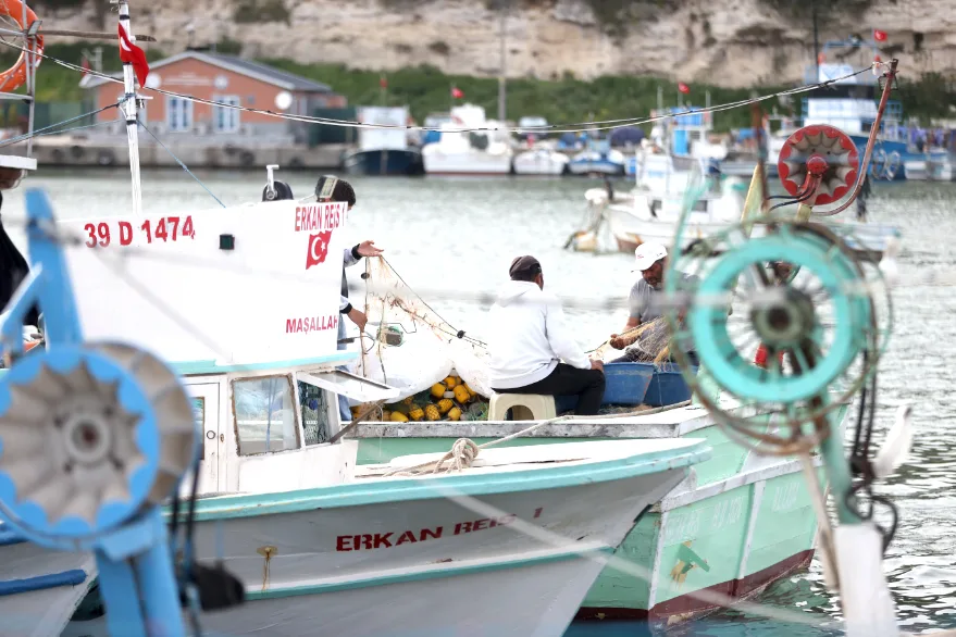 Kırklareli açıklarında bu sezon 16 bin ton hamsi avlandı