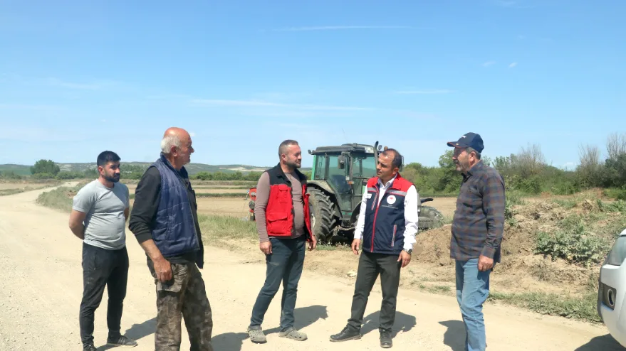 Celtik Ekimi 1 - Edirne’de tarlalarda çeltik mesaisi başladı