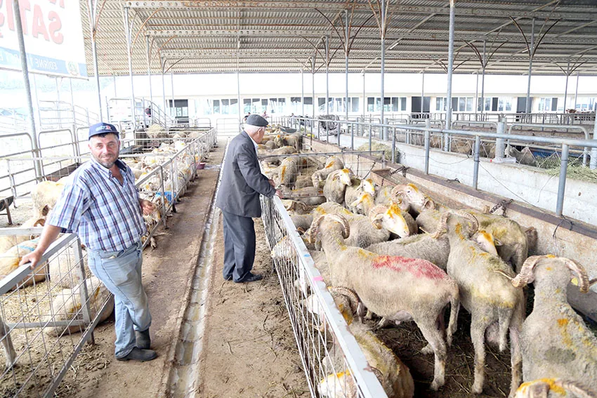 Edirne’de kurban kesim yerleri açıklandı