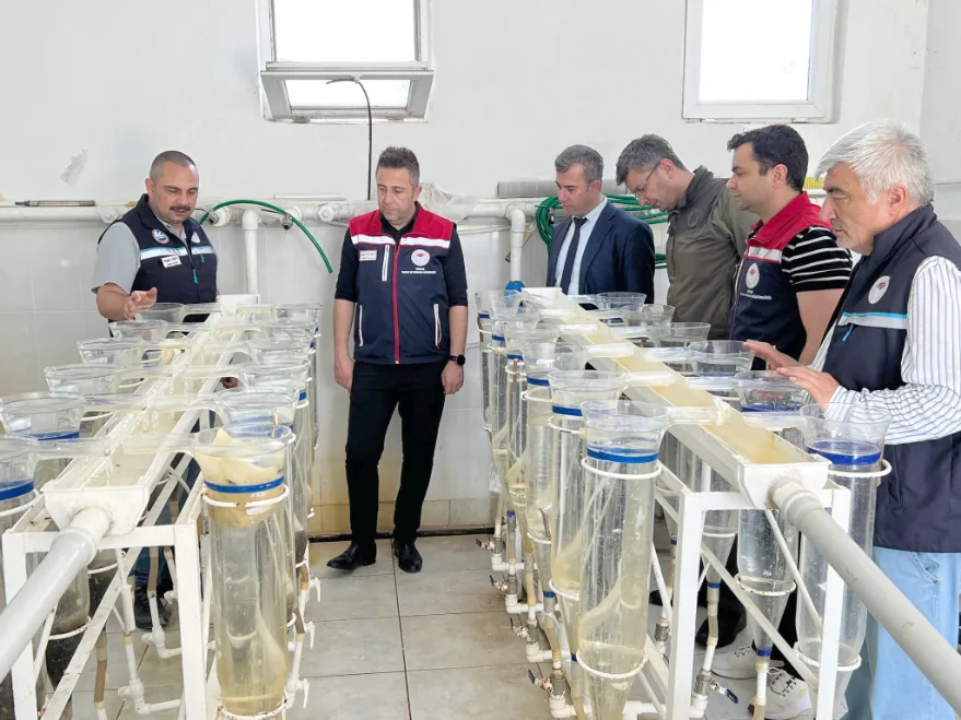 Balık üretim çalışmaları yerinde değerlendirildi