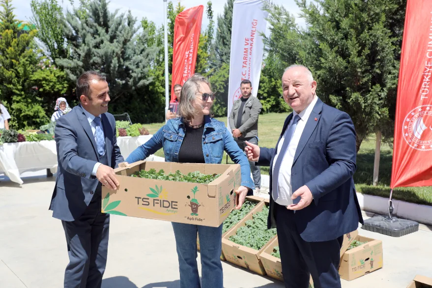 Karpuz Fidesi Dagitimi 2 - Edirne’de çiftçilere 60 bin karpuz fidesi dağıtıldı