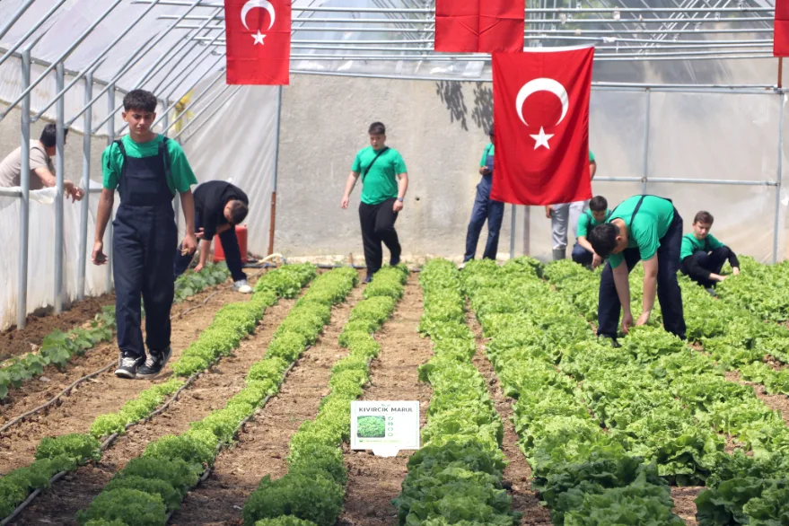 Kesan Sera 2 - Öğrencilerin emekleri hasada dönüştü