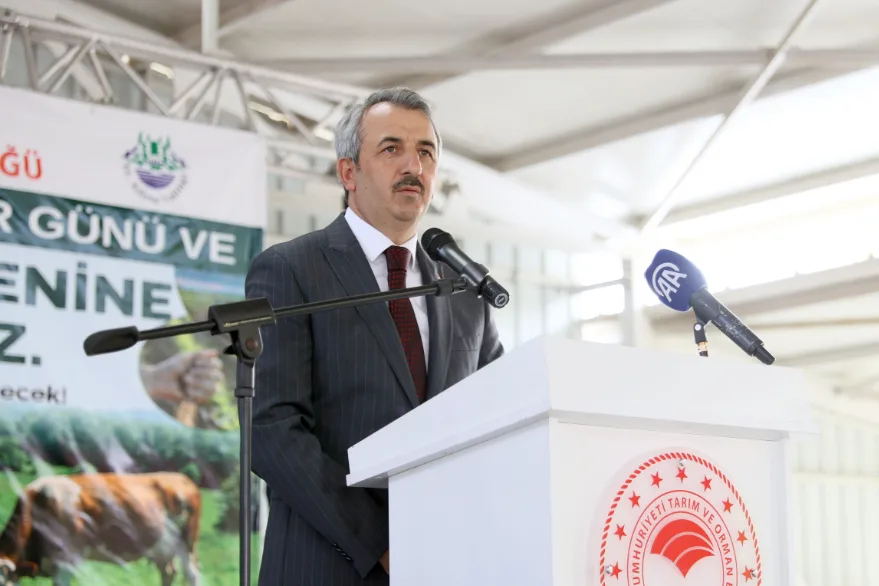 Edirne’de meralar yüksek verim hedefiyle ıslah ediliyor