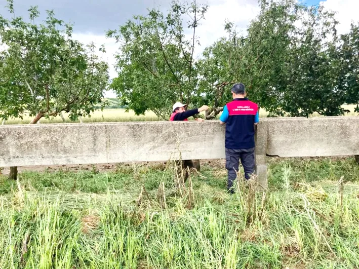 Dolu hasar urunler 2 - Kırklareli’nde doludan etkilenen alanlarda hasar tespit çalışmaları başlatıldı