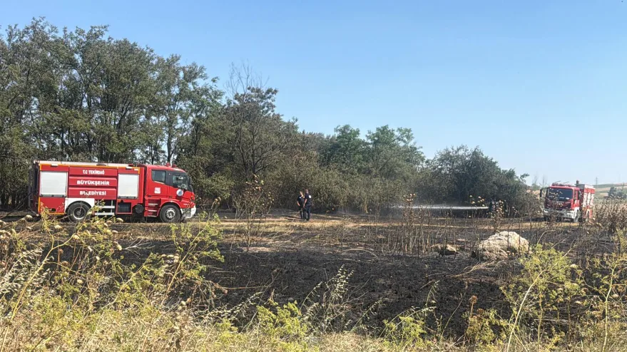 Tekirdağ’da otluk alan alev aldı