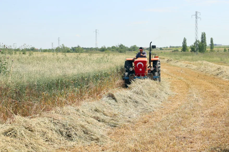 Vali Sezer Mera Islahi 2 - Edirne’de meralar üreticiye destek amaçlı ıslah ediliyor
