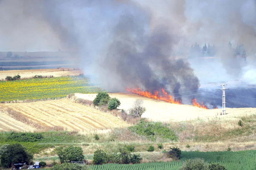Tekirdağ’da 100 dekar buğday ekili alan yandı