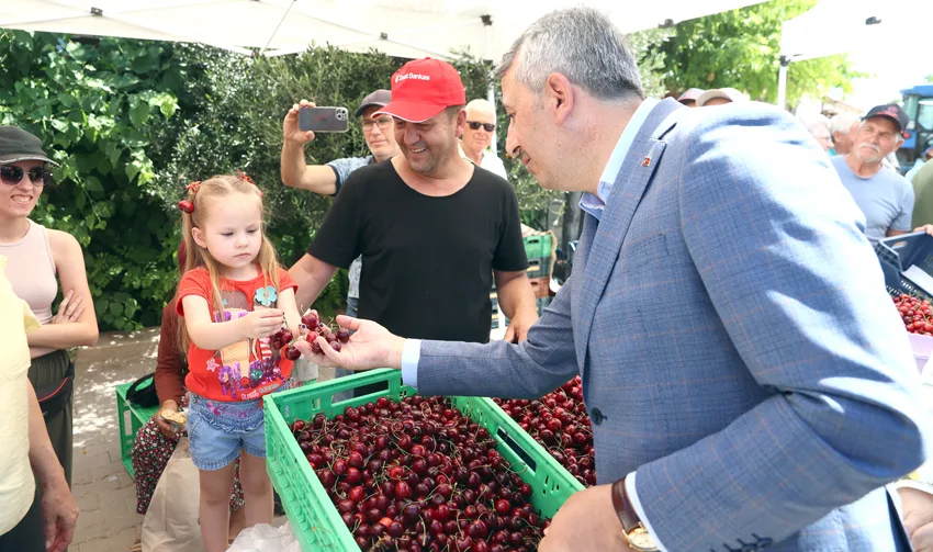 Edirne’den Avrupa’ya ihraç edilen “Çeribaşı” kirazının hasadı başladı