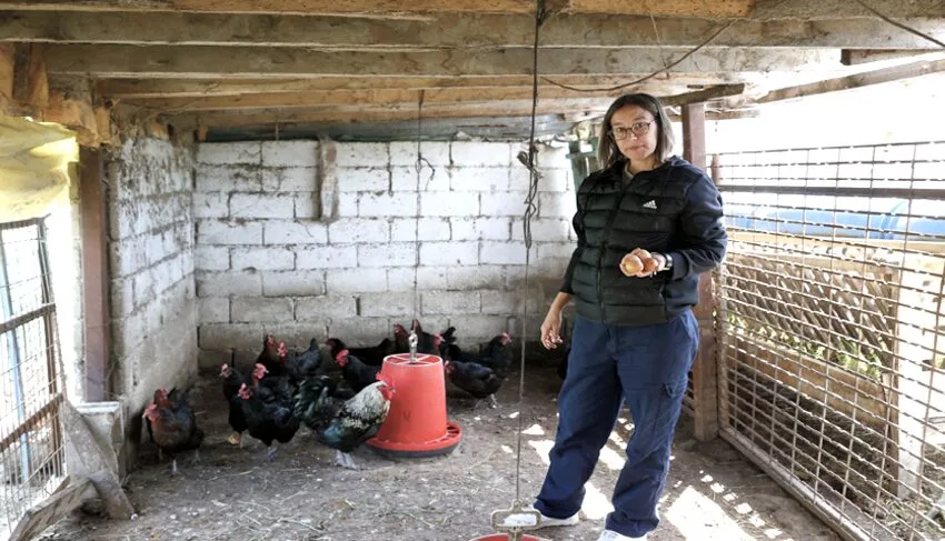 İstanbul’dan köyüne döndü, hem muhasebecilik hem çiftçilik yapıyor