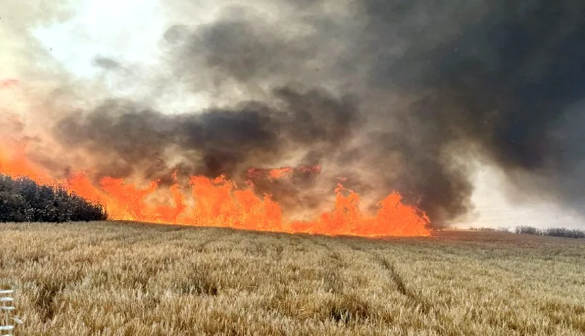 Tekirdağ’da tarla yangınlarında 2 bin dekar alan zarar gördü