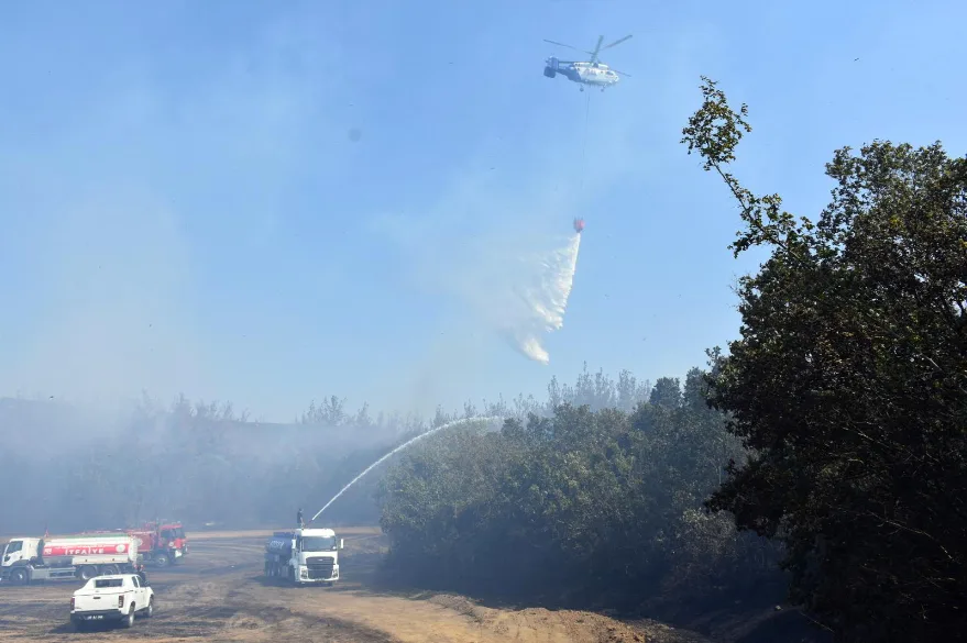 Tekirdağ’da anızda başlayan yangın ormana sıçradı