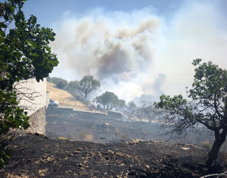 Çanakkale’de ormanlık alanda çıkan yangına müdahale ediliyor