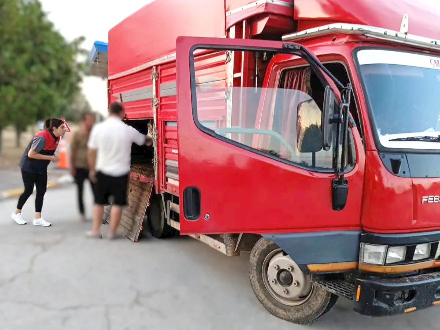 Belgesiz hayvan sevkiyatı pahalıya patladı