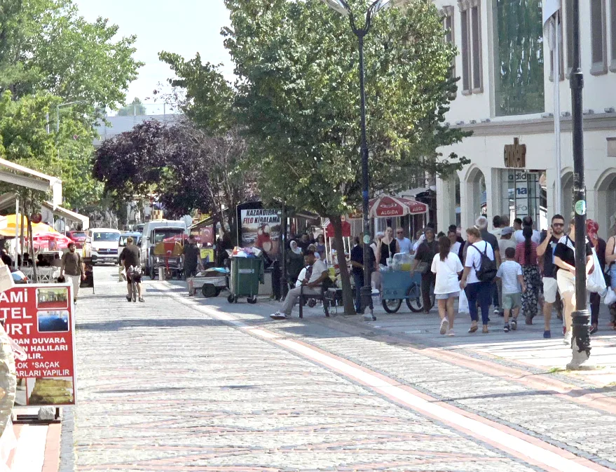 Balkan Pazari 2 - Edirne’de 15 Temmuz anmasında sivrisinek kabusu