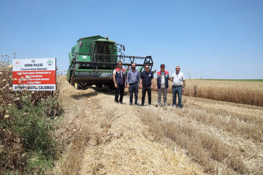 Buğday demonstrasyon alanında hasat yapıldı
