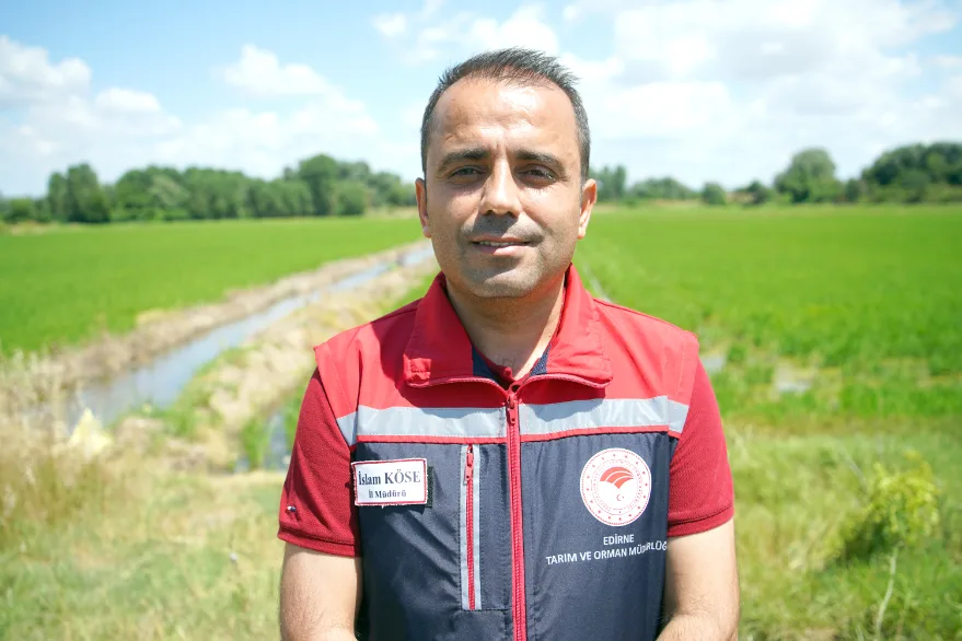 Islam Kose - Edirne’de çeltik üretim alanı 500 bin dekara ulaştı