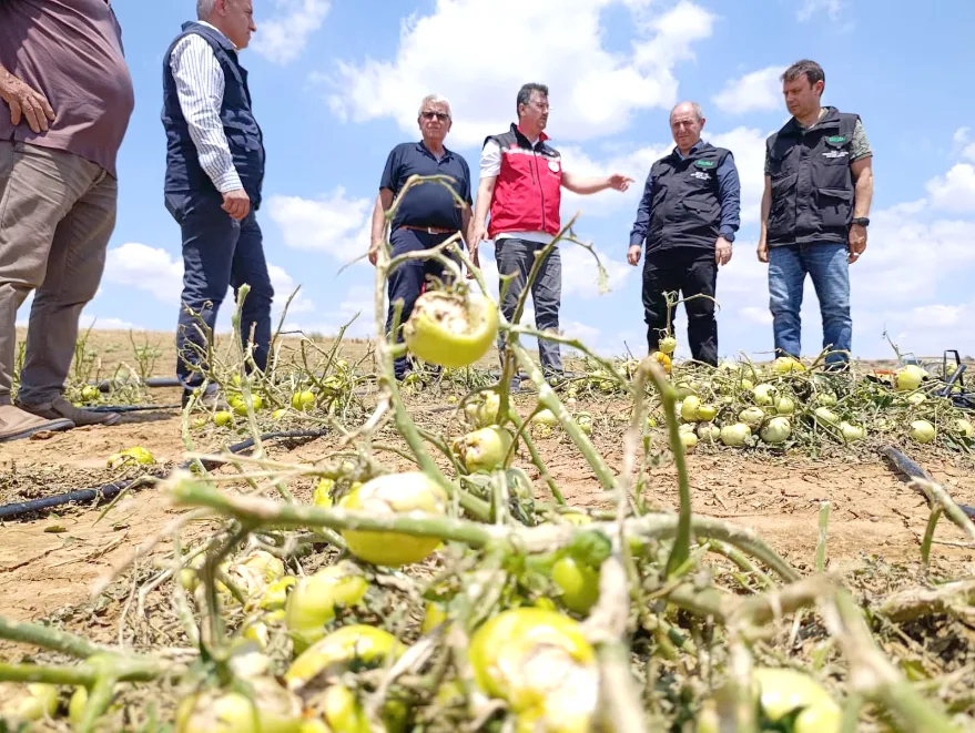 Tekirdag Dolu 1 1 - Tekirdağ’da dolunun vurduğu tarım alanlarında hasar tespiti sürüyor