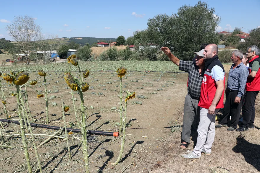 Tekirdag Dolu 2 - Tekirdağ’da dolu ekili alanları vurdu