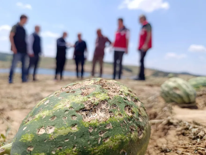 Tekirdag Dolu 3 1 - Trakya’da 15 Temmuz Demokrasi ve Milli Birlik Günü dolayısıyla şehitlikler ziyaret edildi