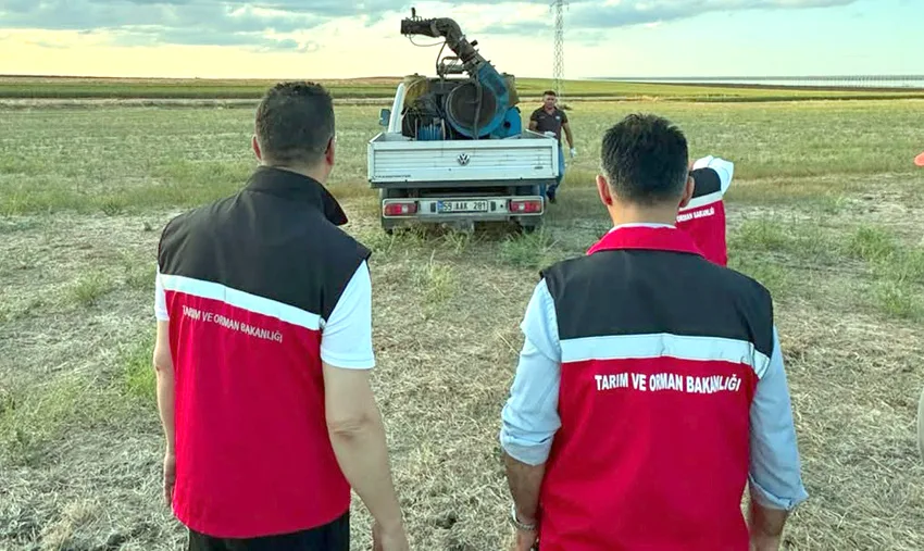 Tekirdağ’da çekirge popülasyonu takip ediliyor