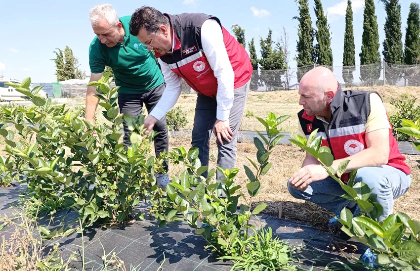 Gida isletmesi ziyaret - Avrupa’ya gitmeye çalışan 16 sığınmacı yakalandı
