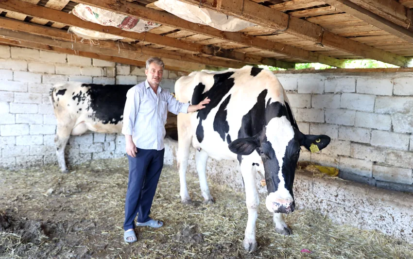 Eski hükümlü, devlet desteğiyle başladığı hayvancılıkta modern tesis kurmak istiyor