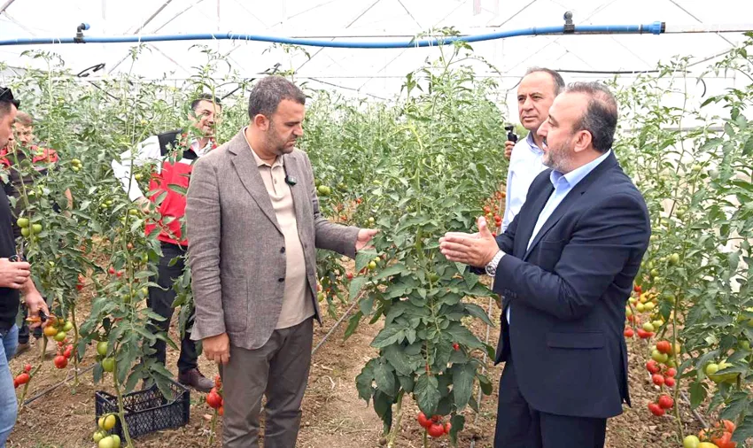 Tekirdağ’da hükümlülerin çalıştığı seralarda ilk hasat yapıldı