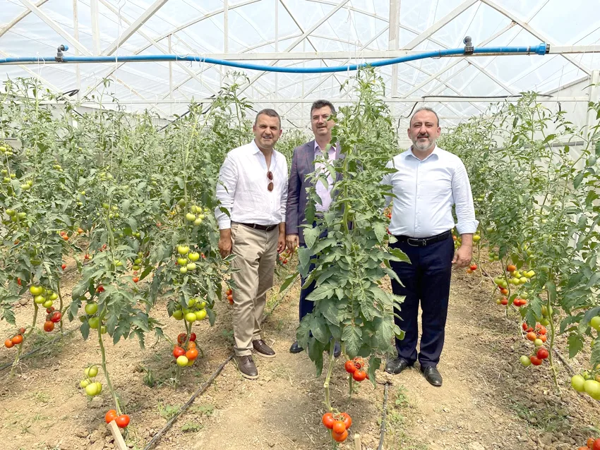 Süleymanpaşa Belediyesinin tarımsal üretim seraları ziyaret edildi