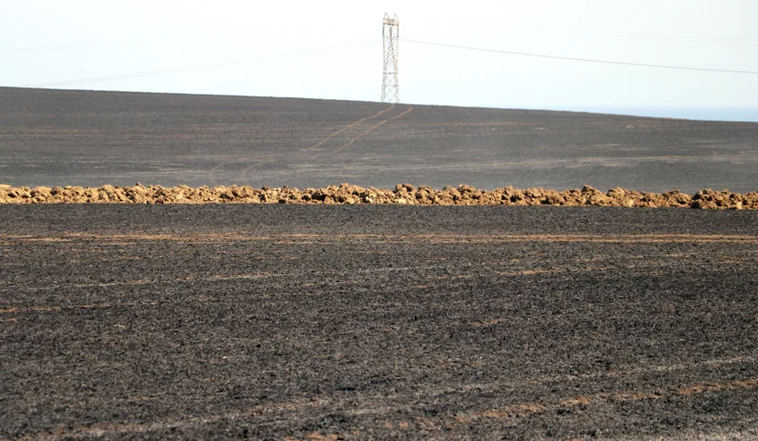 Tekirdağ’da çıkan anız yangınında 300 dekar tarım arazisi zarar gördü