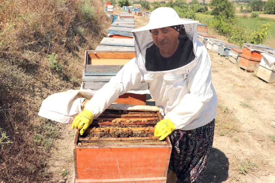 Bir kovanla başlayan arıcılık 450 kovaya ulaştı