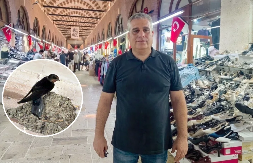 Tarihi çarşının 129’uncu esnafı kırlangıçlar