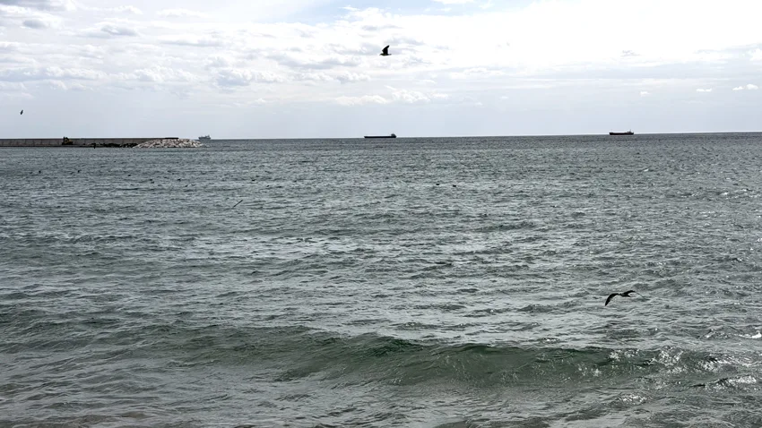 Tekirdağ’da fırtına 4 gündür deniz ulaşımını olumsuz etkiliyor