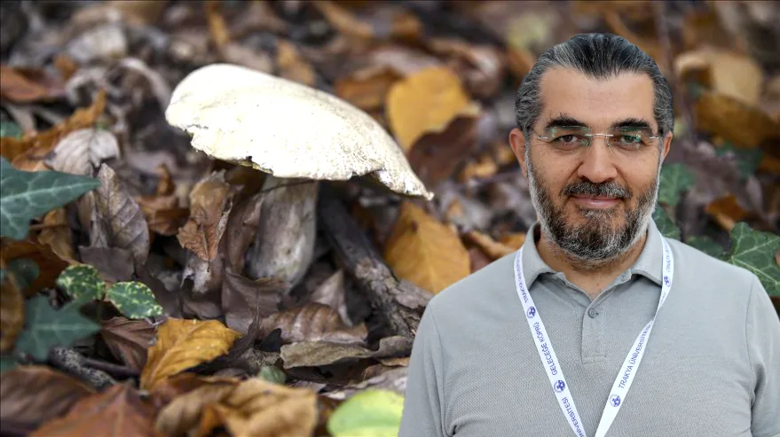 Uzmanından mantar uyarısı: Ölümcül risk taşıyabilir