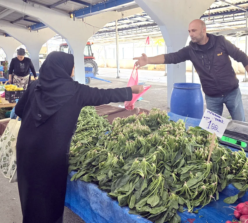 Karaağaç ıspanağı tezgahlarda yerini aldı